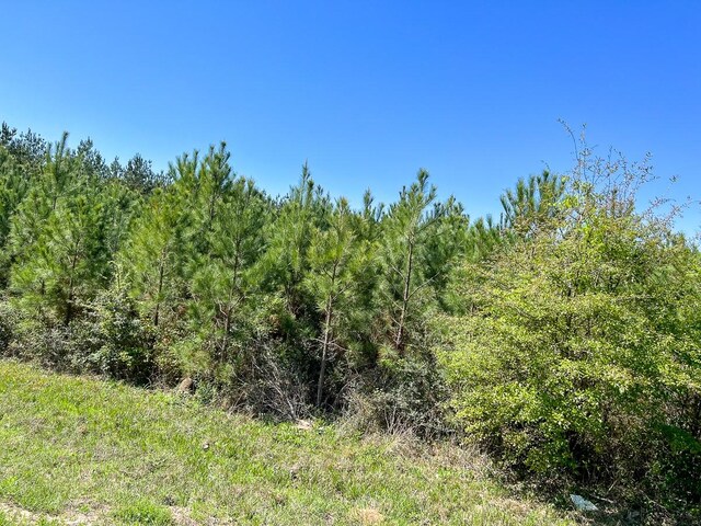 4 Rice Rd E, Camden, TX 75934