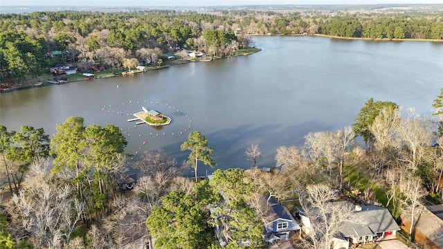 13318 Southshore Dr, Conroe, TX 77304 - aerial view of a nearby body of water and a forest