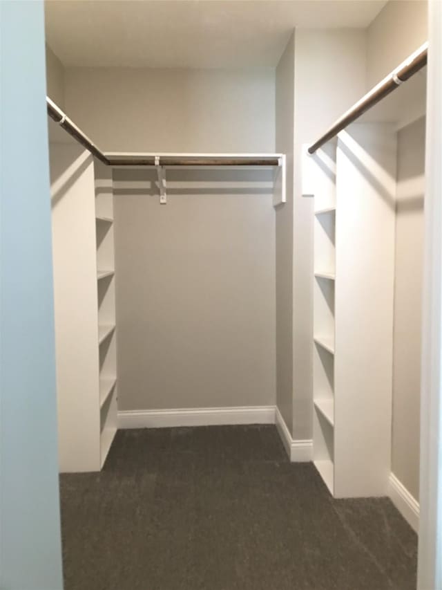 415 Sevenhampton Ln, Houston, TX 77015 - walk in closet featuring dark carpet