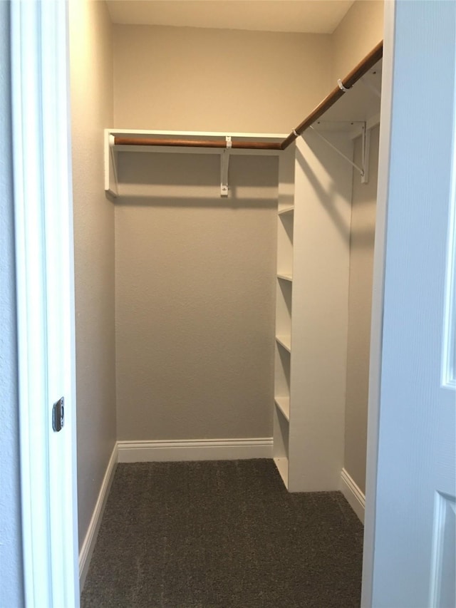 415 Sevenhampton Ln, Houston, TX 77015 - walk in closet with carpet