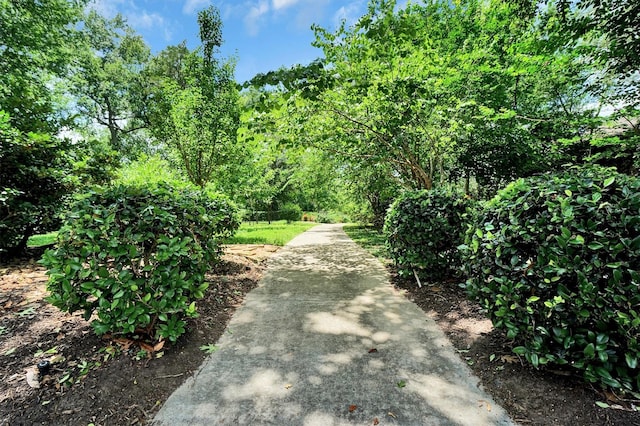 1 Woodstone St, Houston, TX 77024 - view of home's community