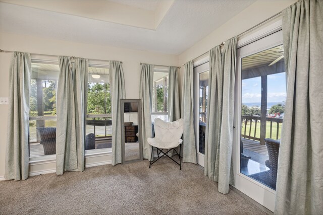 527 Caney Creek Dr, Livingston, TX 77351 - living area with carpet and healthy amount of natural light