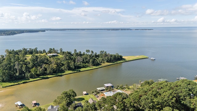 527 Caney Creek Dr, Livingston, TX 77351 - view of property location with a nearby body of water