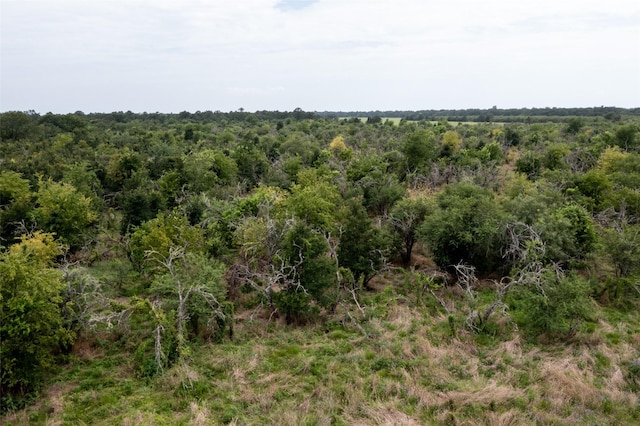 0 Mt Zion, Brookshire, TX 77423 - photo 4