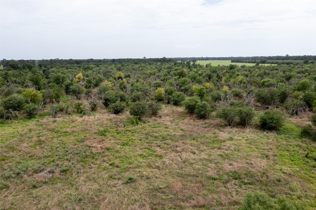 0 Mt Zion, Brookshire, TX 77423 - photo 5