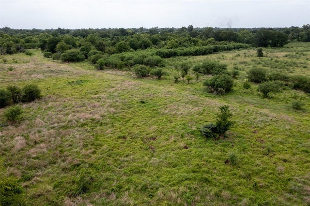 0 Mt Zion, Brookshire, TX 77423 - photo 8