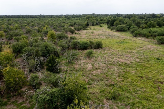 0 Mt Zion, Brookshire, TX 77423 - photo 9