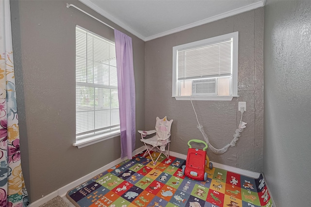 1725 County Road 244e, Brazoria, TX 77422 - recreation room with crown molding and cooling unit