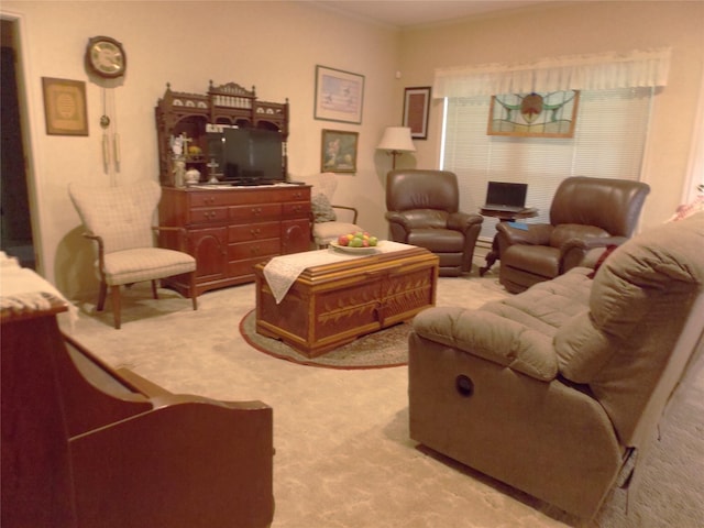 1501 E Pecan St, Brenham, TX 77833 - living room with light colored carpet
