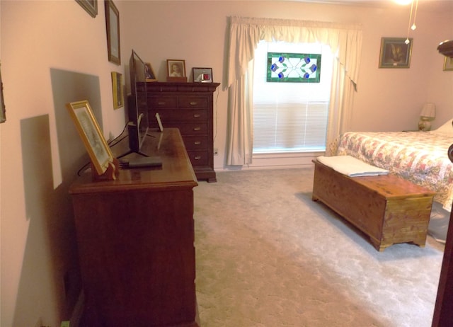 1501 E Pecan St, Brenham, TX 77833 - view of carpeted bedroom