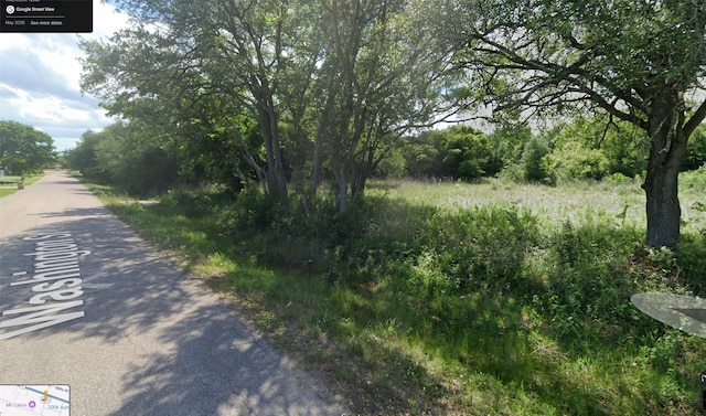 0 Washington St, Hitchcock, TX 77563 - photo 3