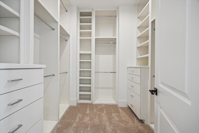 2509 Dorrington Blvd Unit B, Houston, TX 77030 - spacious closet featuring light colored carpet