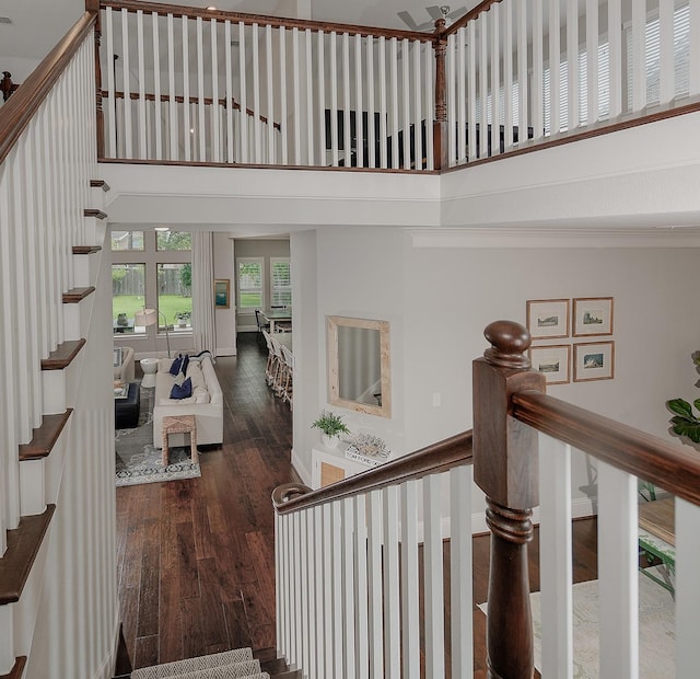 14 Glory Garden Way, The Woodlands, TX 77389