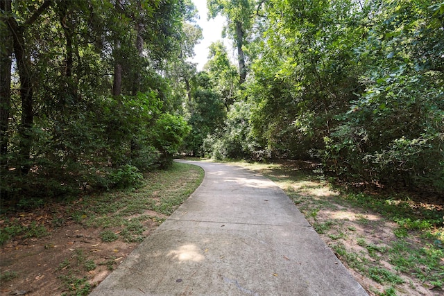 150 Kinnerly Peak Pl, Montgomery, TX 77316 - photo 46