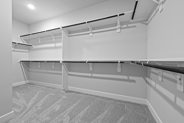 3244 Stingray Cove Dr, Katy, TX 77493 - walk in closet with carpet floors