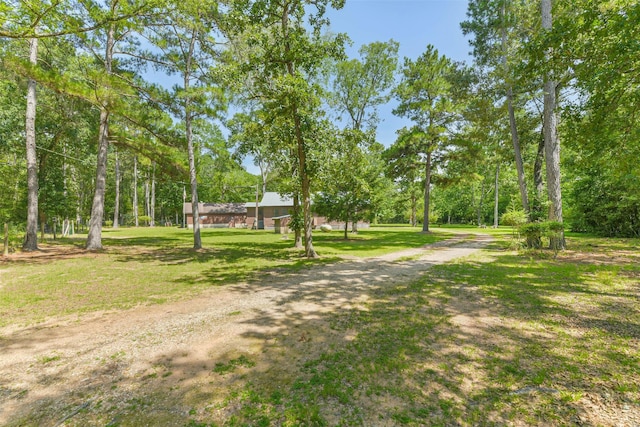 25095 Willow Creek Rd, Hockley, TX 77447 - photo 28