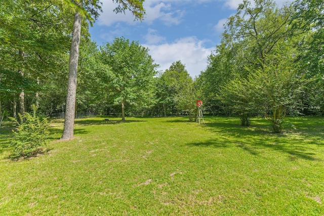 25095 Willow Creek Rd, Hockley, TX 77447 - photo 29