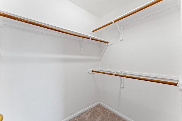 1627 Pebble Brk, Missouri City, TX 77459 - walk in closet featuring light colored carpet
