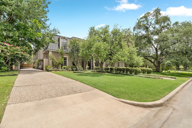 903 Rocky River Rd, Houston, TX 77056 - view of front of home featuring a front lawn, a gate, stucco siding, and driveway