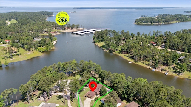 243 Riverbirch, Brookeland, TX 75931 - aerial view of property's location with a large body of water and property boundaries highlighted