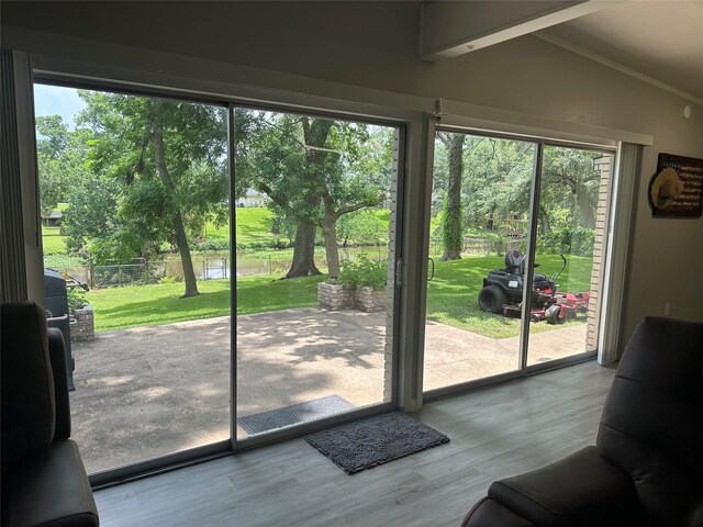 107 Southern Oaks Dr, Lake Jackson, TX 77566 - doorway with wood finished floors, ornamental molding, lofted ceiling, a water view, and view of wooded area