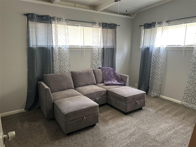 107 Southern Oaks Dr, Lake Jackson, TX 77566 - living room with plenty of natural light, carpet floors, and beam ceiling