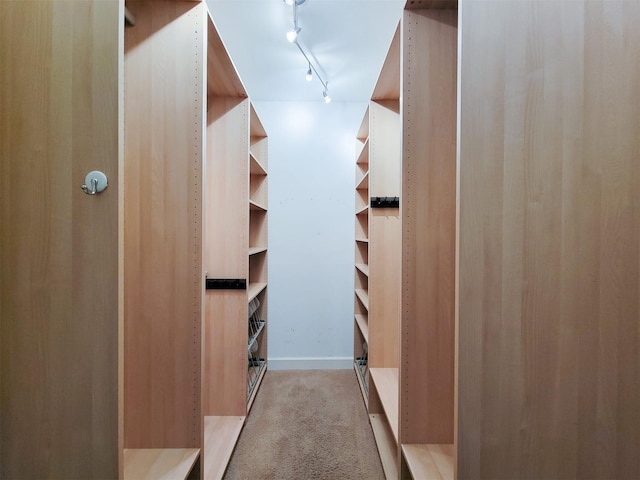 2111 Welch St Unit B109, Houston, TX 77019 - walk in closet featuring light colored carpet