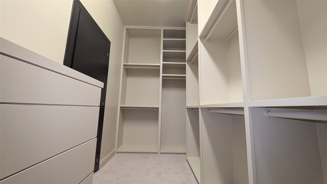 1844 Colquitt St, Houston, TX 77098 - spacious closet featuring light carpet