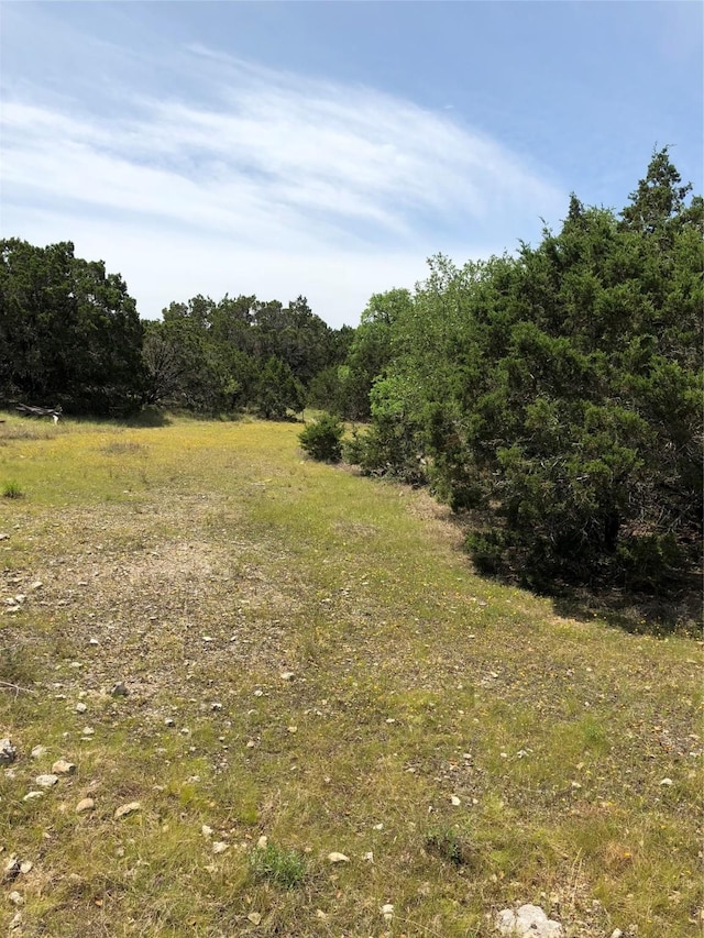 857 Rutherford, Fischer, TX 78623 - photo 1