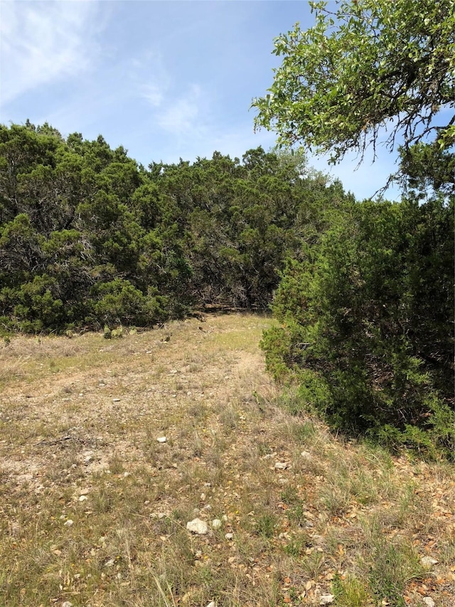 857 Rutherford, Fischer, TX 78623 - photo 2