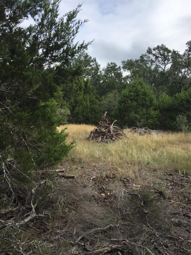 857 Rutherford, Fischer, TX 78623 - photo 4