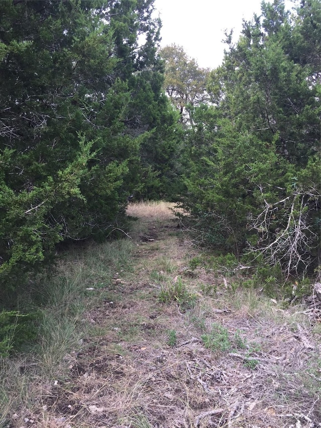 857 Rutherford, Fischer, TX 78623 - photo 5