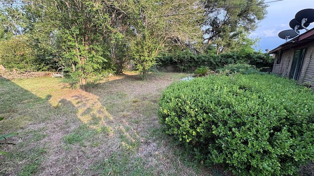 12414 Frazier River Dr, Houston, TX 77050 - view of yard