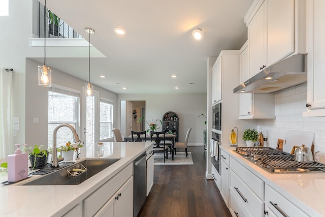 1206 Raburn Run Ln, Tomball, TX 77375 - kitchen with under cabinet range hood, stainless steel appliances, decorative backsplash, recessed lighting, and white cabinetry