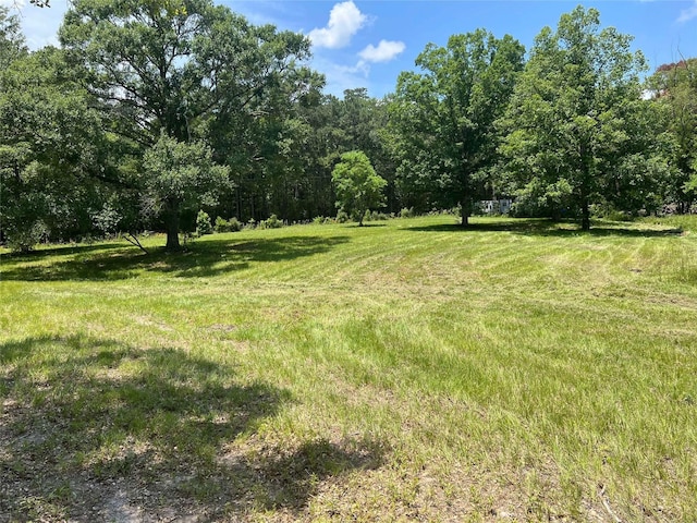 155 Dobbin, Livingston, TX 77351