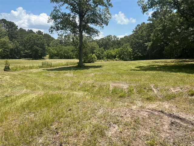 155 Dobbin, Livingston, TX 77351