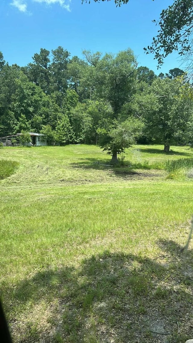 155 Dobbin, Livingston, TX 77351