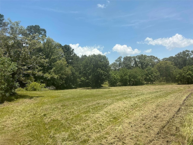 155 Dobbin, Livingston, TX 77351