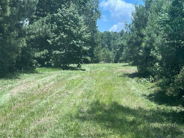 155 Dobbin, Livingston, TX 77351