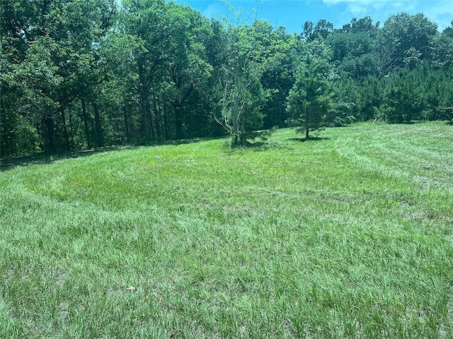 155 Dobbin, Livingston, TX 77351