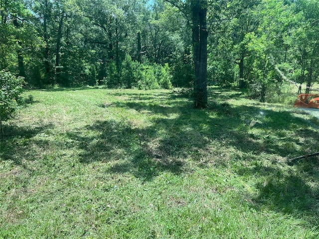 155 Dobbin, Livingston, TX 77351