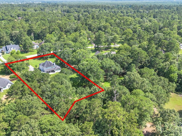 247 Private Road 635, Dayton, TX 77535 - aerial view of property's location with a forest and property boundaries highlighted
