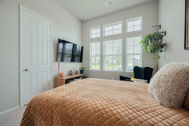 17022 Daylily Dune Way, Hockley, TX 77447 - photo 9