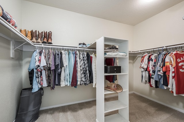 16311 Sylvan Dale Dr, Humble, TX 77346 - spacious closet featuring carpet flooring