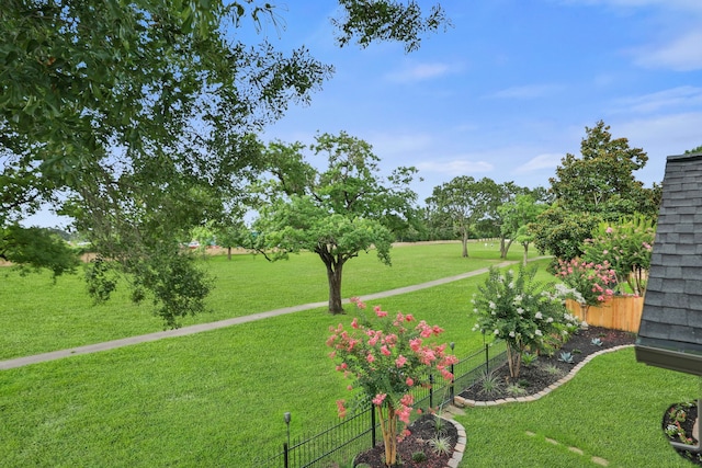 7310 Blenheim Palace Ln, Houston, TX 77095 - view of yard
