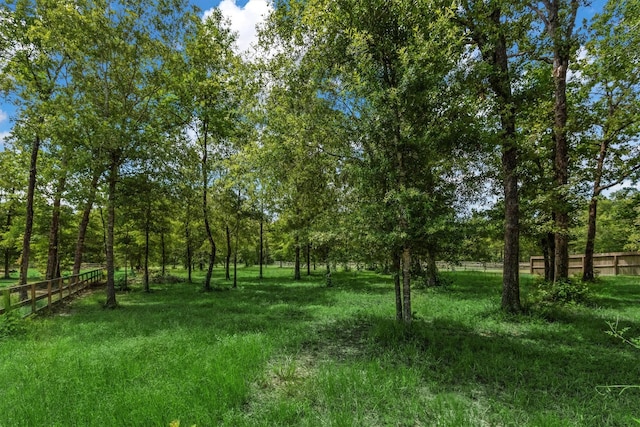9171 White Tail Dr, Conroe, TX 77303 - view of undeveloped land