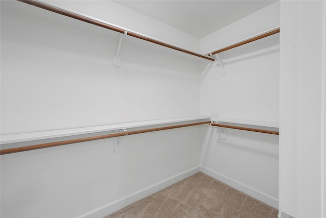 206 Delaney St, Houston, TX 77009 - spacious closet with light carpet