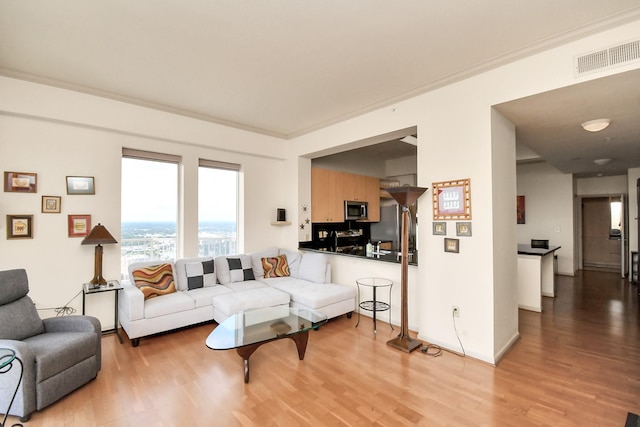 3505 Sage Rd Unit 2910, Houston, TX 77056 - living room featuring wood finished floors and baseboards