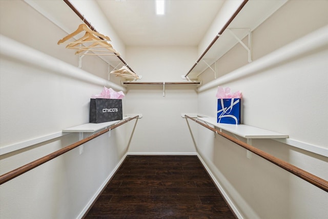 2332 Shadow Falls Ln, Pearland, TX 77584 - walk in closet featuring dark wood-style floors