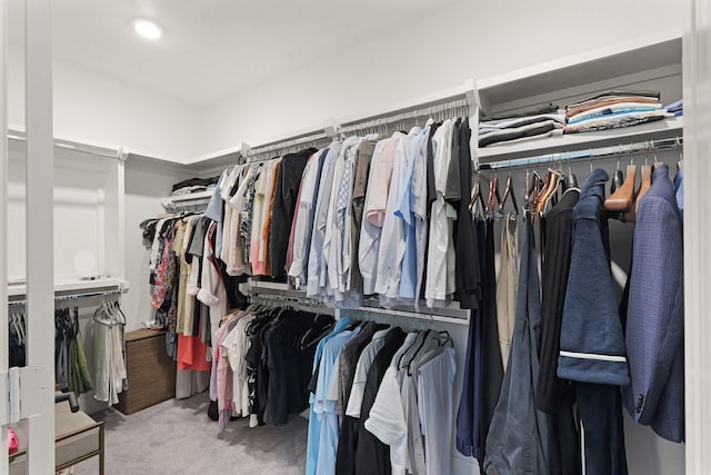 6804 Westview Dr Unit 1307, Houston, TX 77055 - spacious closet with carpet flooring